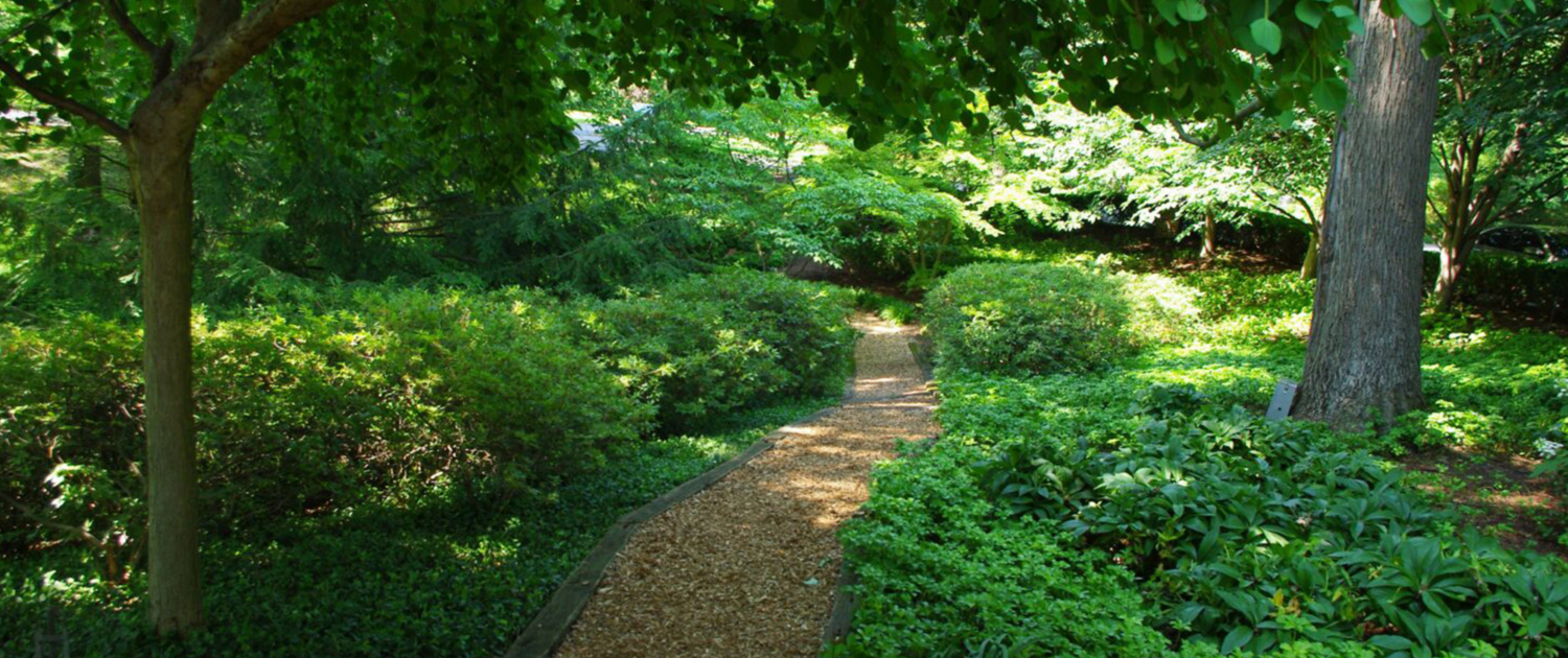 Client Photo Beautiful Trail Walkway