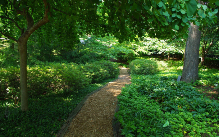 Client Photo Beautiful Trail Walkway
