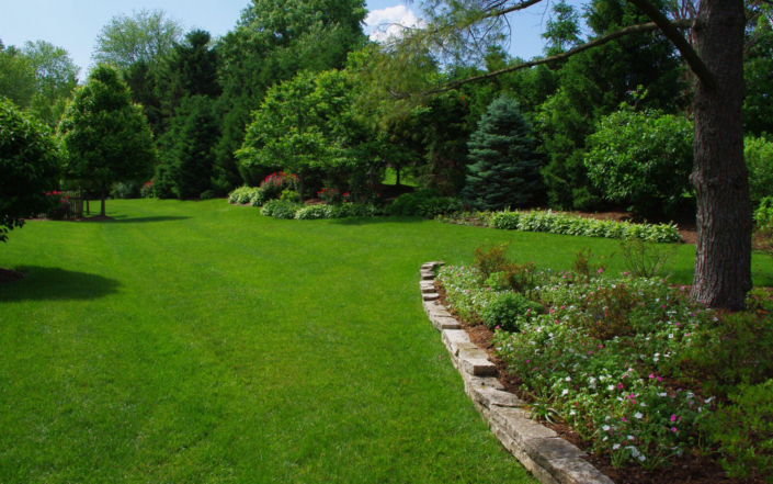 Client Photo Green Lawn