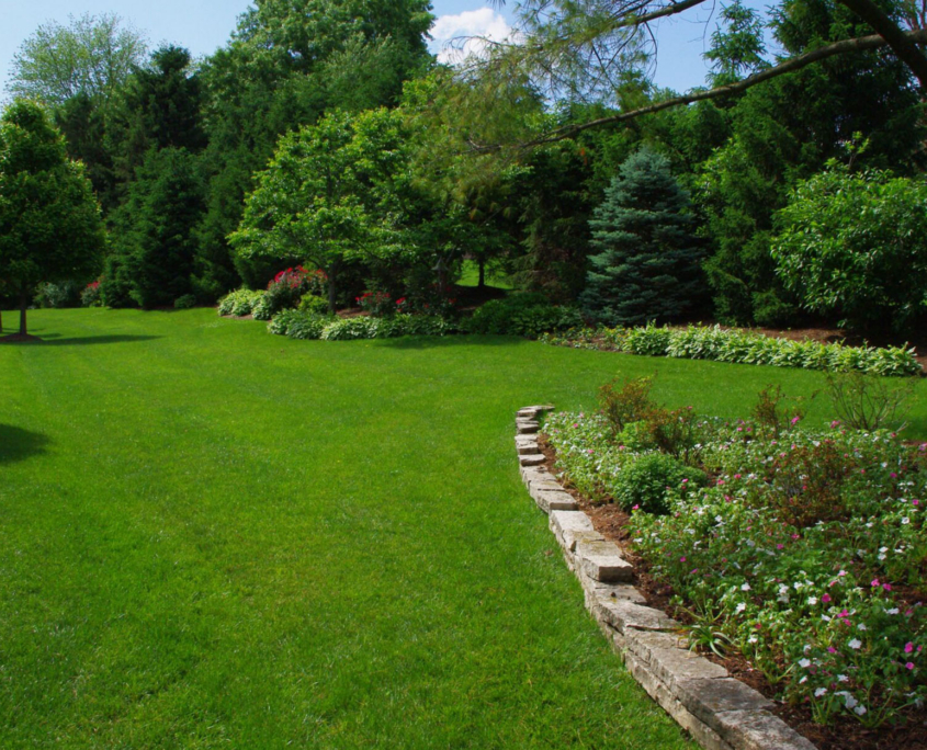 Client Photo Green Lawn