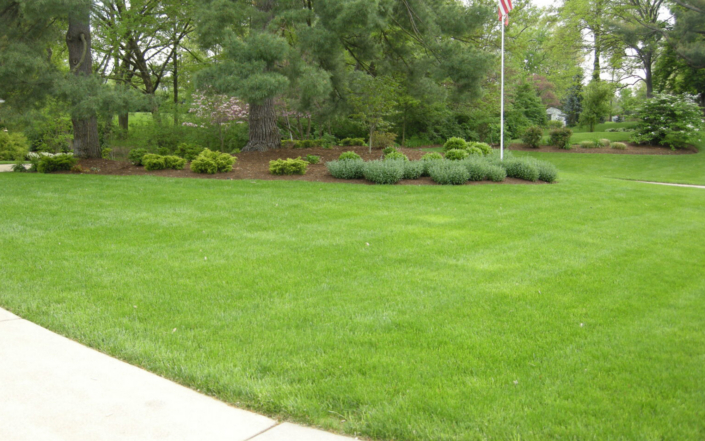 Client Photo Manicured Lawn And Flagpole