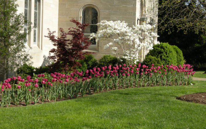 Client Photo Pink Flowers In Front Of Home