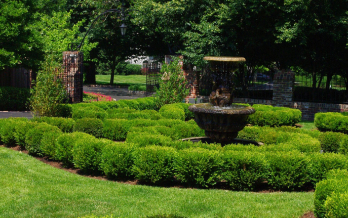 Client Photo Shrubs And Bushes With Fountain