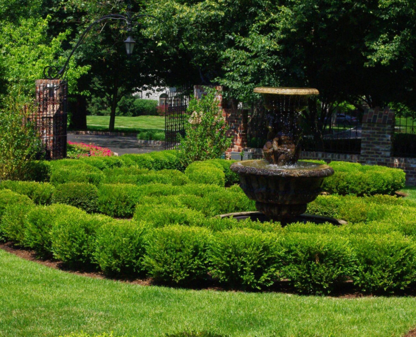 Client Photo Shrubs And Bushes With Fountain
