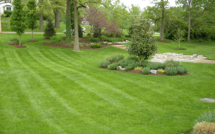 Client Photo Well Manicured Lawn