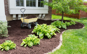Garden Maintenance In Spring Doing The Mulching