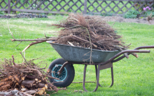 Garden Wheelbarrow Full Of Branches On Green Lawn After Spring Clean Up