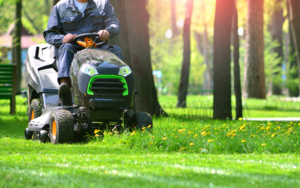 Green Grass Treeming With Lawn Mower