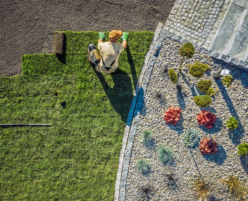 Landscaping Contractor Installing New Turf In Backyard