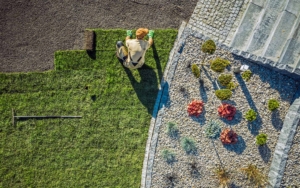 Landscaping Contractor Installing New Turf In Backyard