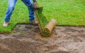 Landscaping Laying New Sod A Backyard Green Lawn Grass In Rolls