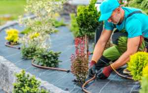 Plants Irrigation System