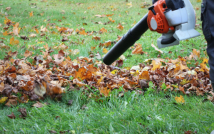 Worker Cleaning Falling Leaves In Autumn Park