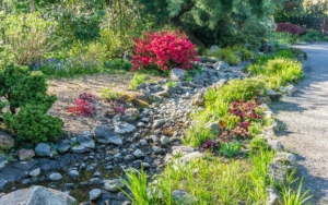 Dry Creek Bed Landscape