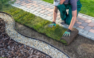 Gardener Applying Turf Rolls In The Backyard