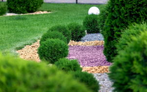 Landscape Bed Of Park With Ornamental Growth Evergreen Bushes