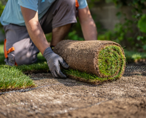 Best Time To Lay Sod In St. Louis