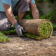 Best Time To Lay Sod In St. Louis