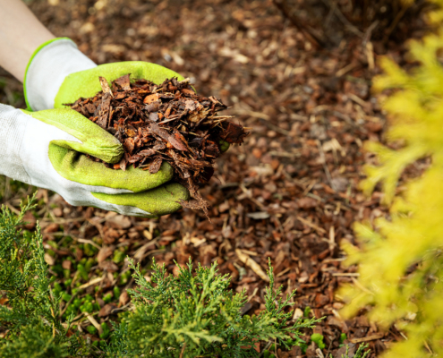 When To Mulch Your Landscape Beds