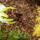 When To Mulch Your Landscape Beds